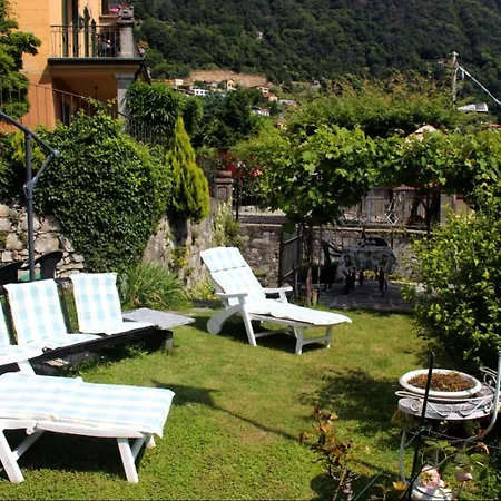 Elena * ארגגנו